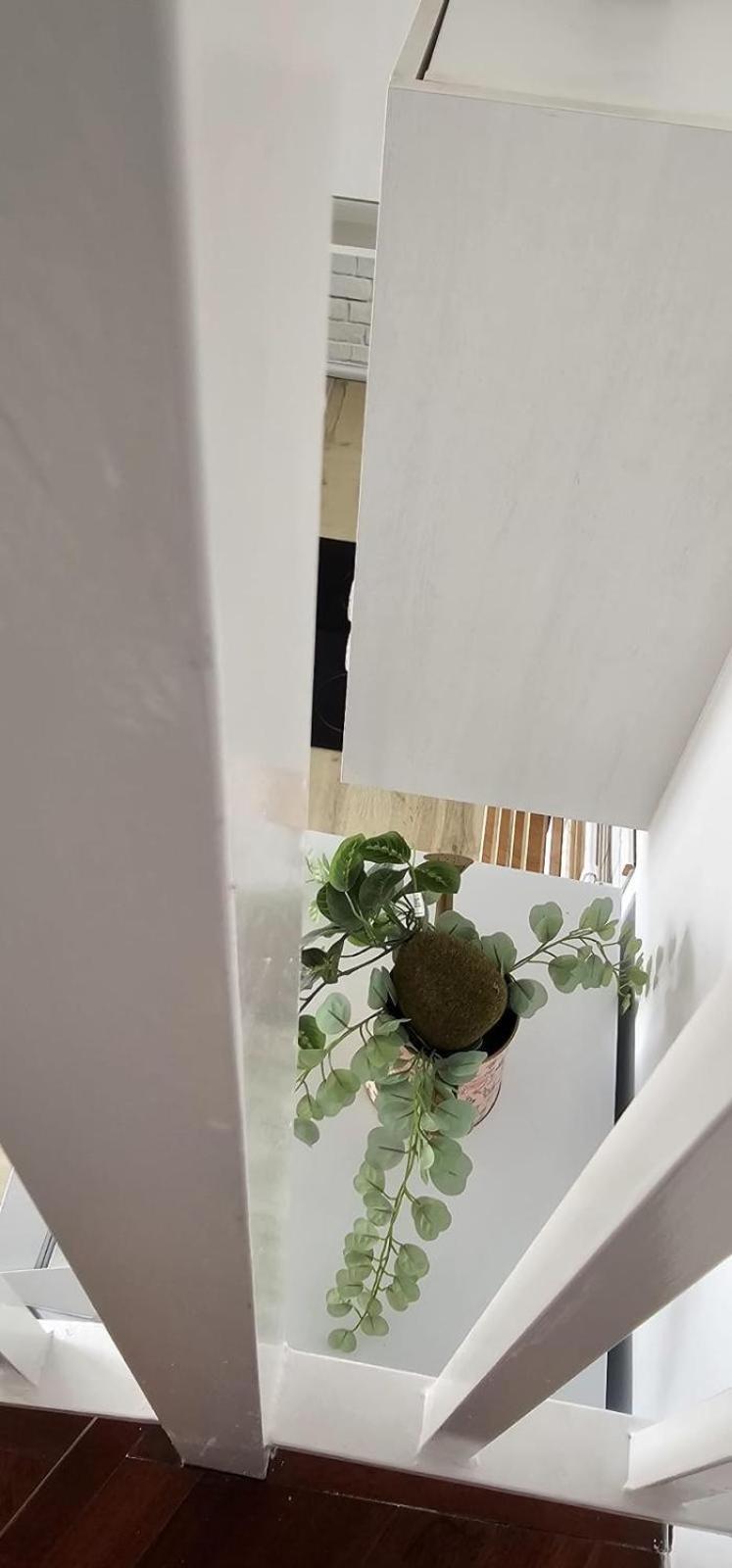 Apartamentos Tocororo Cotillo Buitenkant foto